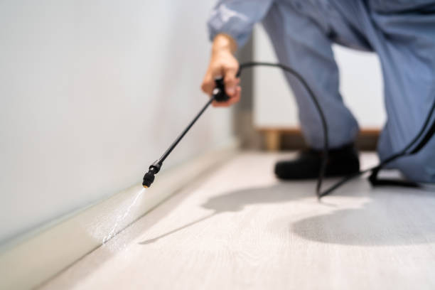 Licensed Pest Control service in Menominee, MI - Show Me Pest Control