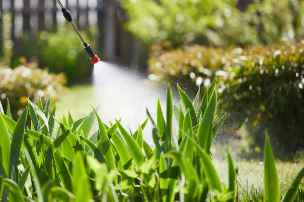 24/7 Emergency Ant Control experts in Menominee, MI